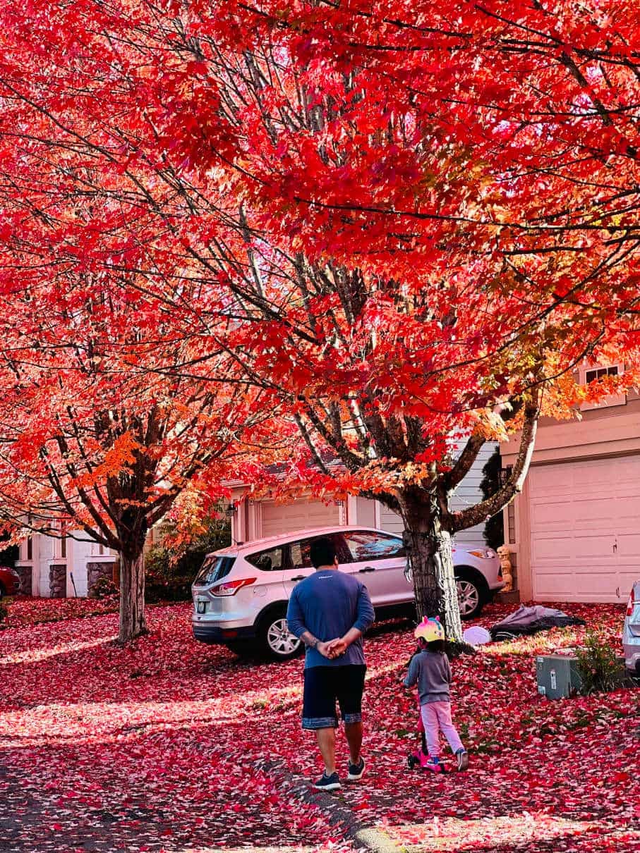 Picture of me and my girl walking